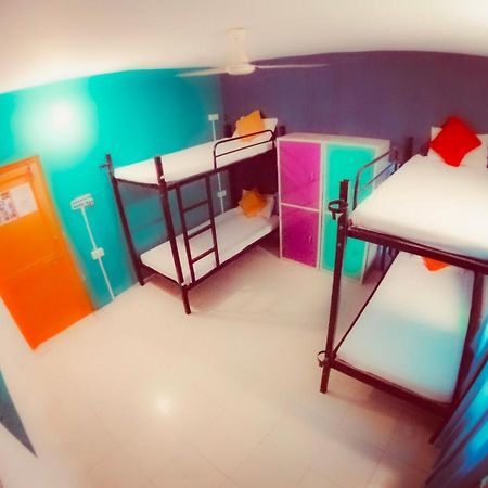 The Hostel Crawl Udaipur Bagian luar foto