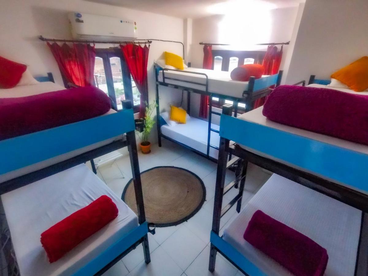 The Hostel Crawl Udaipur Bagian luar foto