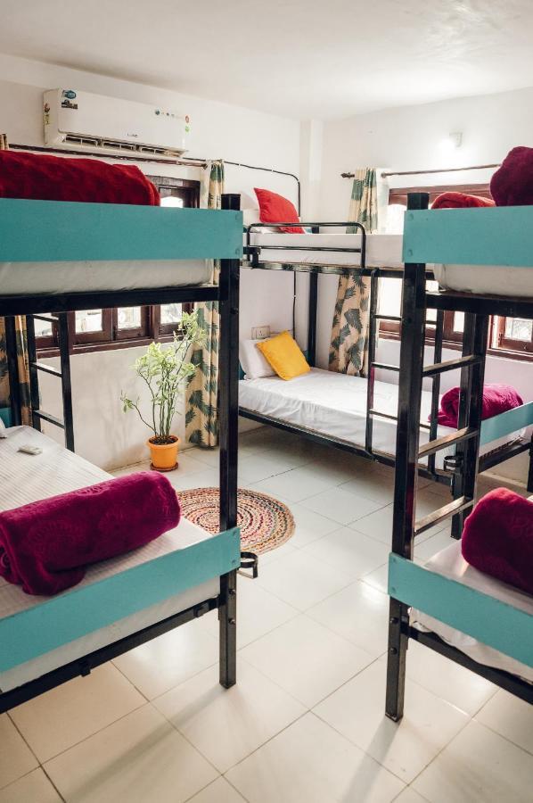 The Hostel Crawl Udaipur Bagian luar foto